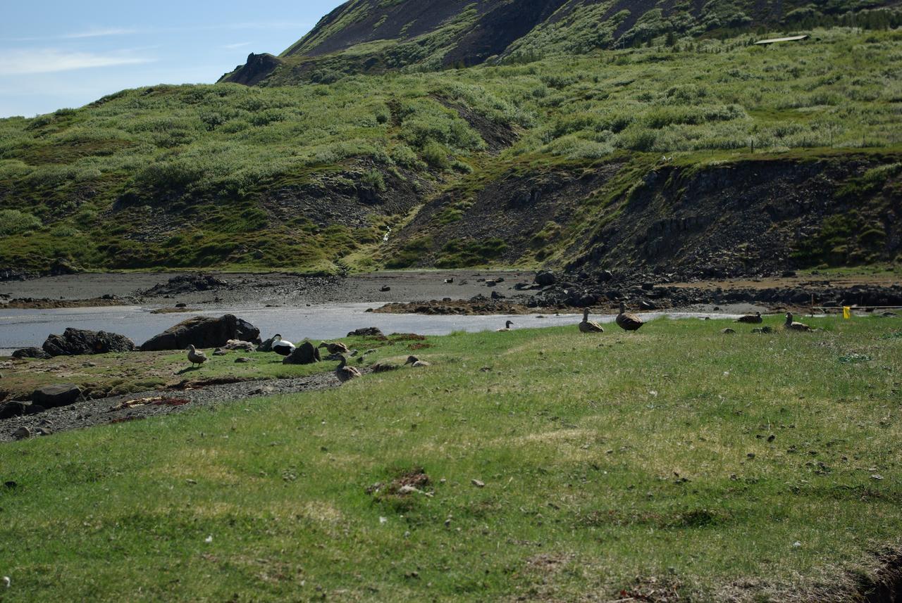 Reykholar Hostel Exterior photo